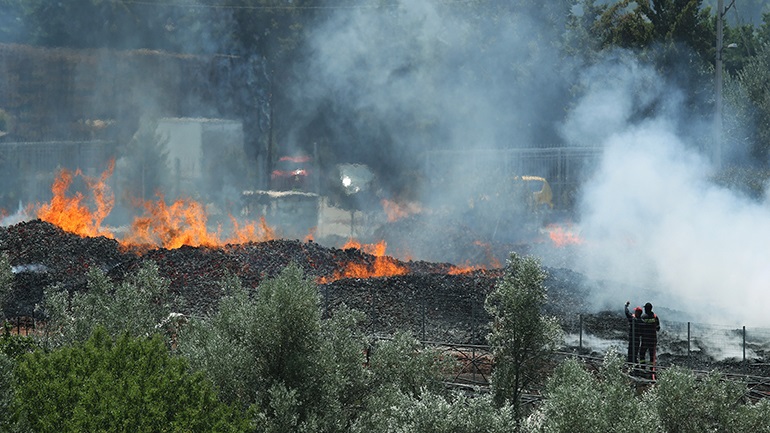 Έσβησε η φωτιά στα Ψαρά - Φόβοι για μεγάλη ζημιά στη μελισσοκομία - Media