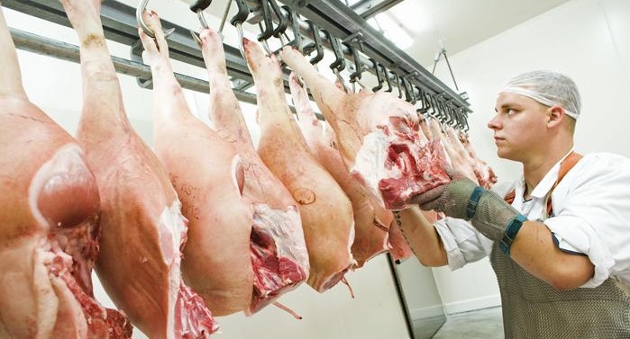 Συναγερμός για τον κορωνοϊό στα σφαγεία της Γερμανίας: Πάνω από 650 κρούσματα, χιλιάδες σε καραντίνα, κλείνουν σχολεία - Media