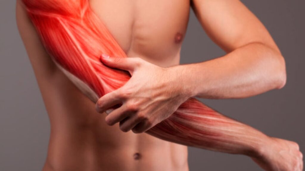 Μυϊκοί σπασμοί: Τι μπορεί να σημαίνουν – Όλες οι πιθανές αιτίες - Media