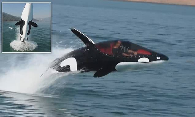 Υποβρύχιο που μοιάζει με φάλαινα δολοφόνο, μπορεί και πηδάει έξω από το νερό (Video) - Media