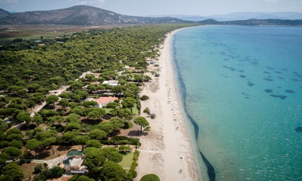 Οι 4 μεγαλύτερες παραλίες της Αττικής για να κάνετε βουτιές με άνεση (Videos) - Media