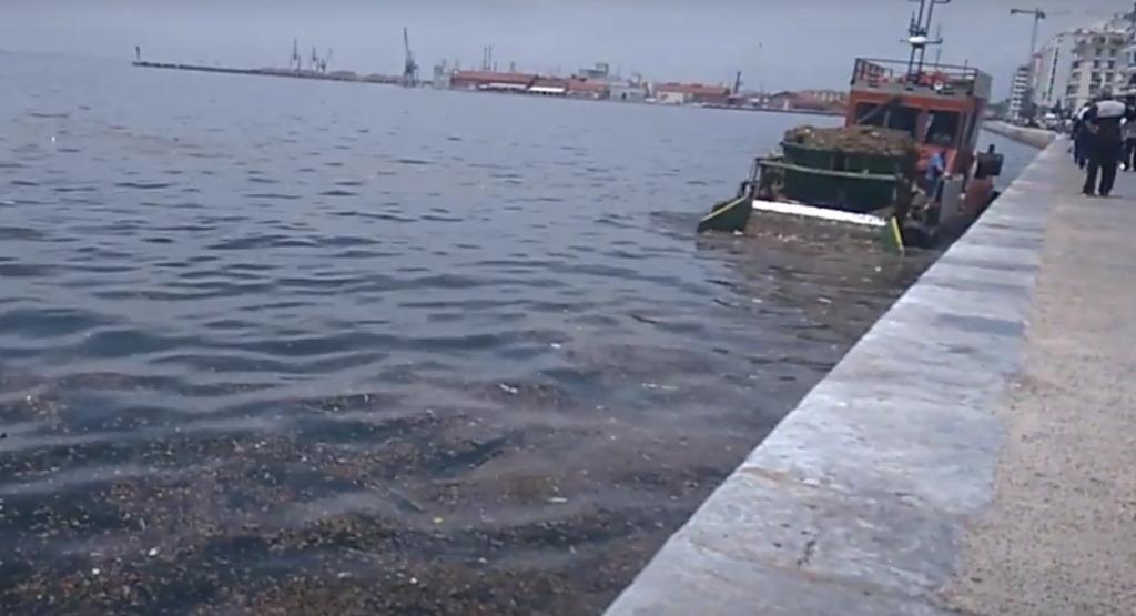 Πλοιάριο μαζεύει φύκια και σκουπίδια από τον Θερμαϊκό «ξυστά» στην παραλιακή της Θεσσαλονίκης (Video) - Media