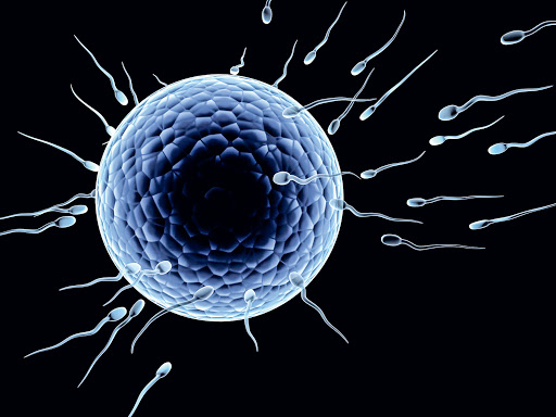 Κύπρος : Αγοράζουν ωάρια από φοιτήτριες έναντι 800 ευρώ - Media