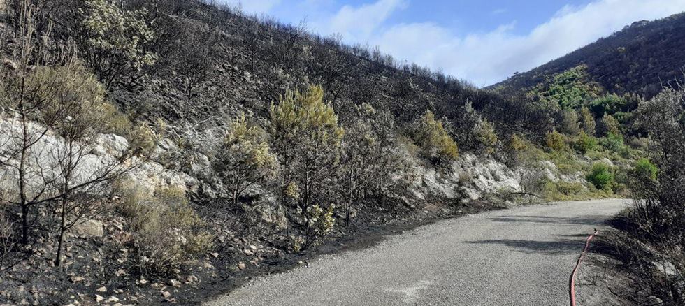 Ζάκυνθος: Σε ύφεση η φωτιά σε Εξω Χώρα και Μαριές  - Media