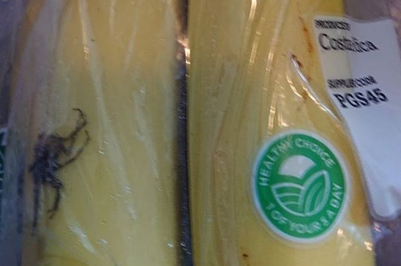 0_bananas