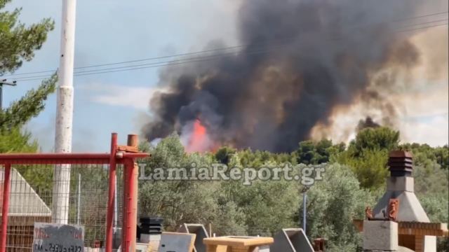 Μεγάλη φωτιά στον Θεολόγο Φθιώτιδας: Καίει πευκοδάσος (Videos) - Media