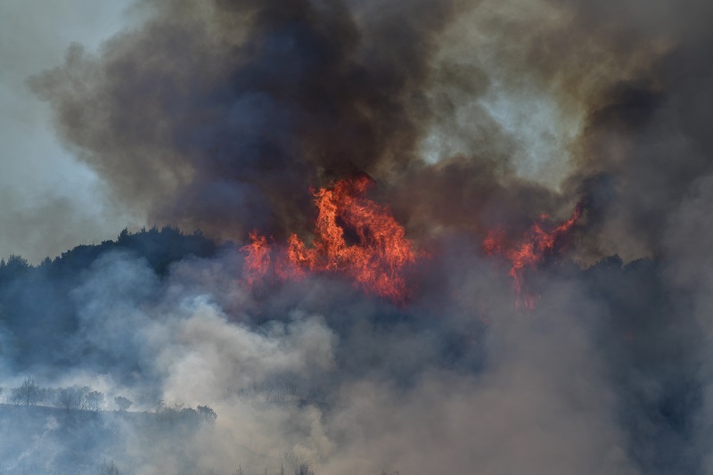 Σε πύρινο κλοιό η χώρα: 64 πυρκαγιές το τελευταίο 24ωρο - Ολονύχτια μάχη με τις φλόγες σε Ηλεία και Κορινθία - Media