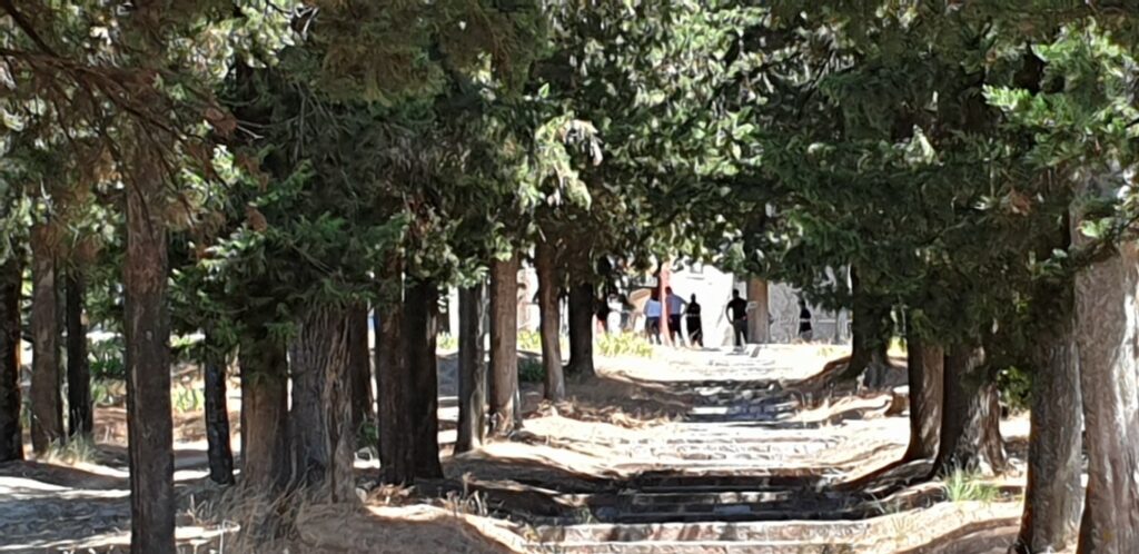 Τρίκαλα - 16χρονη: Στο μικροσκόπιο τα βίντεο από τις κάμερες στον δρόμο προς τον Προφήτη Ηλία - Media