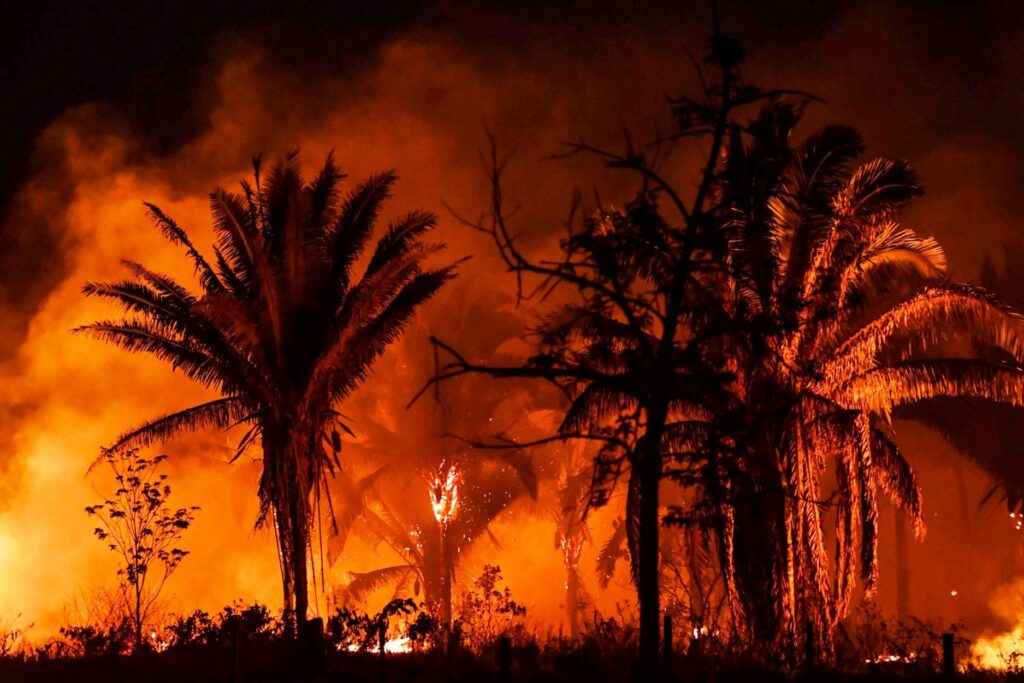 Βραζιλία: Στις «φλόγες» ξανά ο Αμαζόνιος - Αριθμός ρεκόρ πυρκαγιών τον Ιούνιο (Video) - Media