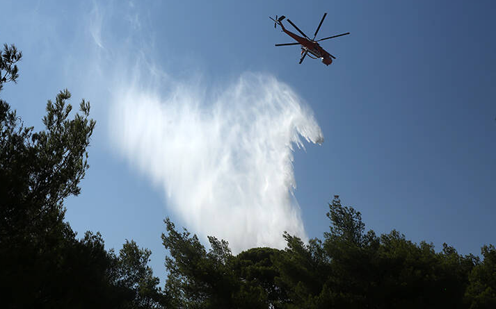 Φωτιά ξέσπασε στην Επίδαυρο - Ισχυρές δυνάμεις της Πυροσβεστικής στο σημείο  - Media
