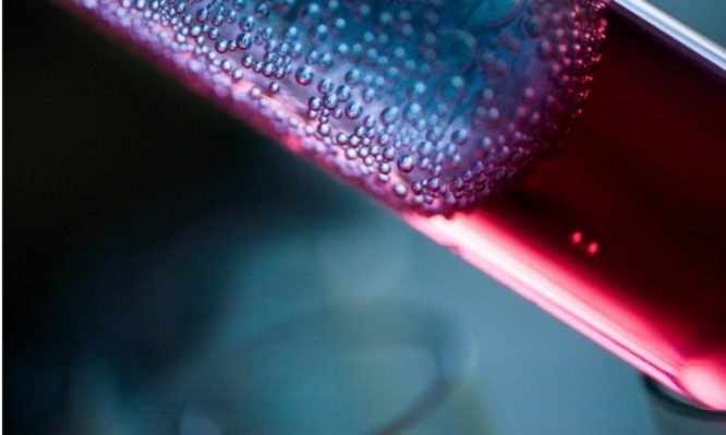 Φερριτίνη: Τι δείχνουν οι υψηλές και τι οι χαμηλές τιμές στο αίμα - Media