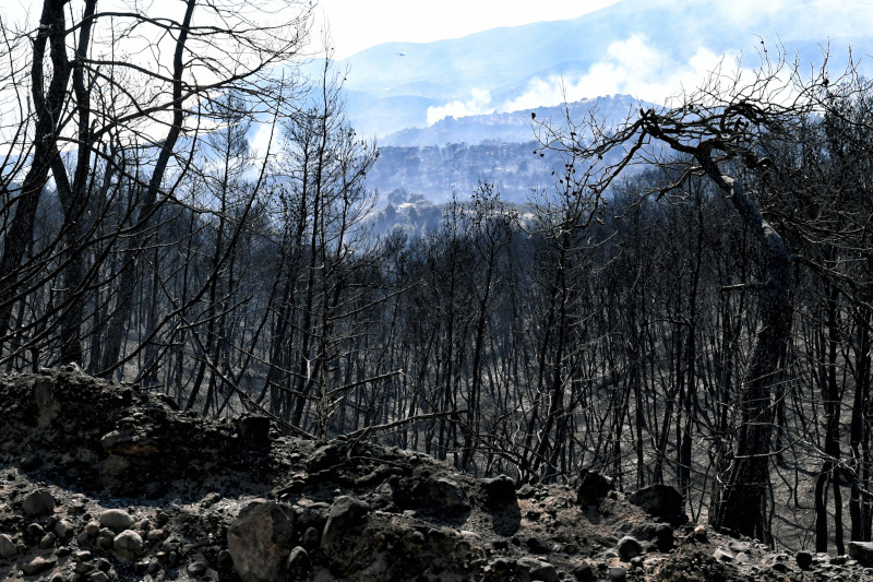 Πύρινος εφιάλτης: Εβδομήντα δύο δασικές πυρκαγιές το τελευταίο 24ωρο - Media