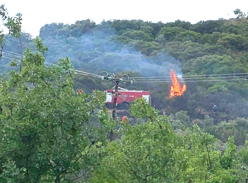Καβάλα: Υπό έλεγχο η φωτιά στο Μυρτόφυτο - Έκαψε ελιές, πουρνάρια και πεύκα - Media