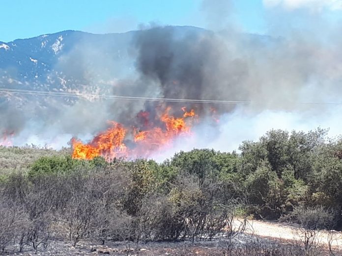 Χωρίς ενεργά μέτωπα η φωτιά στη Σιθωνία - Media