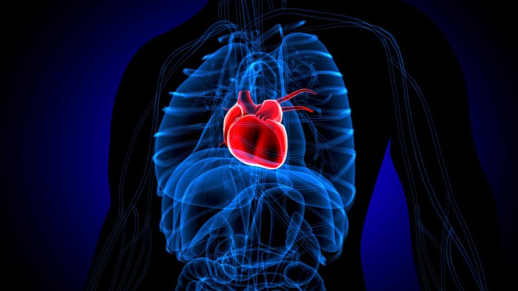 Ποιο είναι το σύνδρομο της «ραγισμένης καρδιάς» που φούντωσε κατά τη διάρκεια της πανδημίας- Τι κατέγραψαν αμερικανοί επιστήμονες   - Media