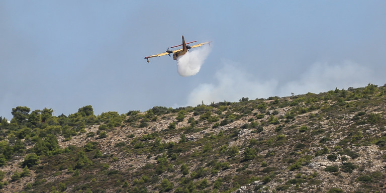 Φωτιά στην Ηλεία - Συναγερμός στην Πυροσβεστική - Media