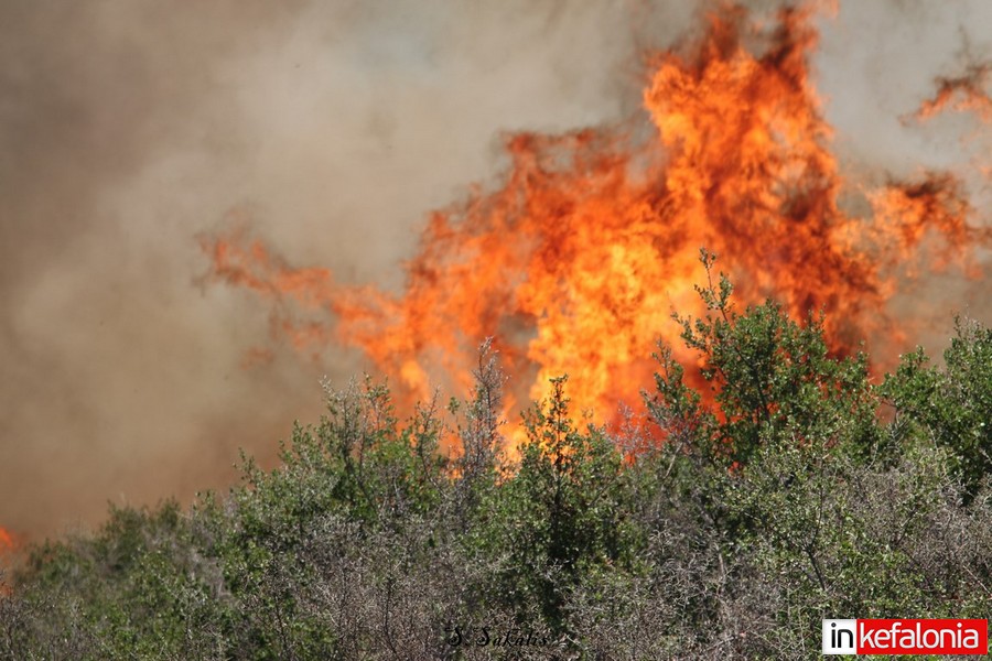 Κεφαλονιά: Yπό μερικό έλεγχο η πυρκαγιά - Επέστρεψαν στα σπίτια τους οι κάτοικοι των Δοριζάτων - Media
