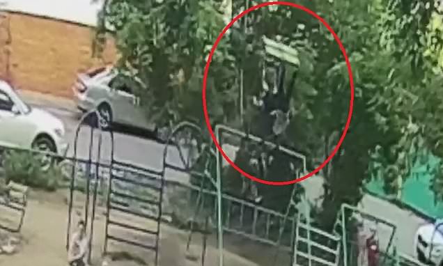 Δυο παιδιά 13 ετών κάνουν τόσο ψηλά κούνια που εκσφενδονίστηκαν στον αέρα (Video) - Media