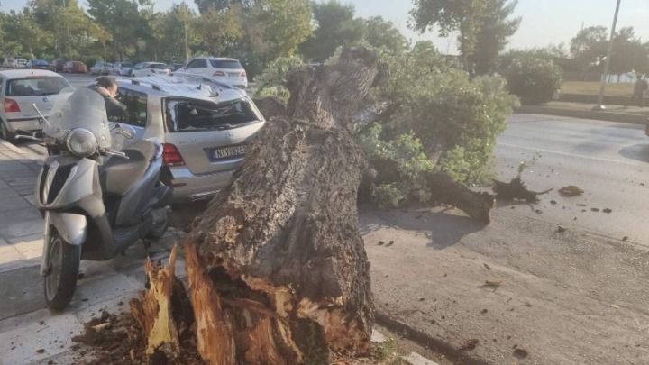 Λεύκα έκλεισε τη Μεγάλου Αλεξάνδρου - Φθορές σε Ι.Χ. - Media
