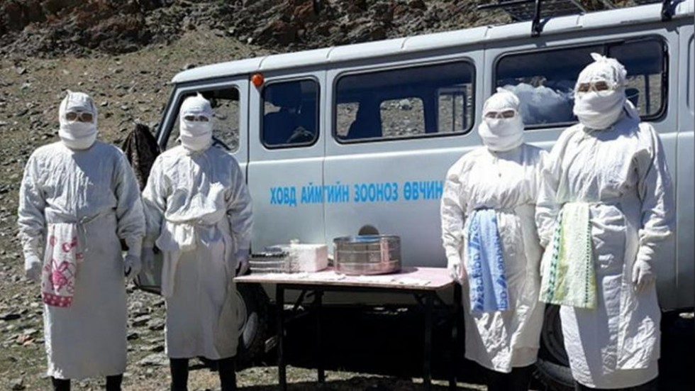 Κίνα-Μογγολία: Κρούσματα βουβωνικής πανώλης, εφιαλτική η πιθανή επιστροφή της στην ανθρωπότητα  - Media