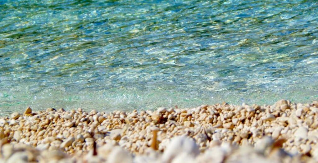 Ναύπλιο: Μαύρο θαλάσσιο «σκουλήκι» προκαλεί αναστάτωση σε παραλία (Video) - Media