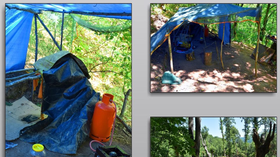 Βρήκαν περισσότερα από 1.000 δενδρύλλια κάνναβης στη λίμνη Πλαστήρα - Media