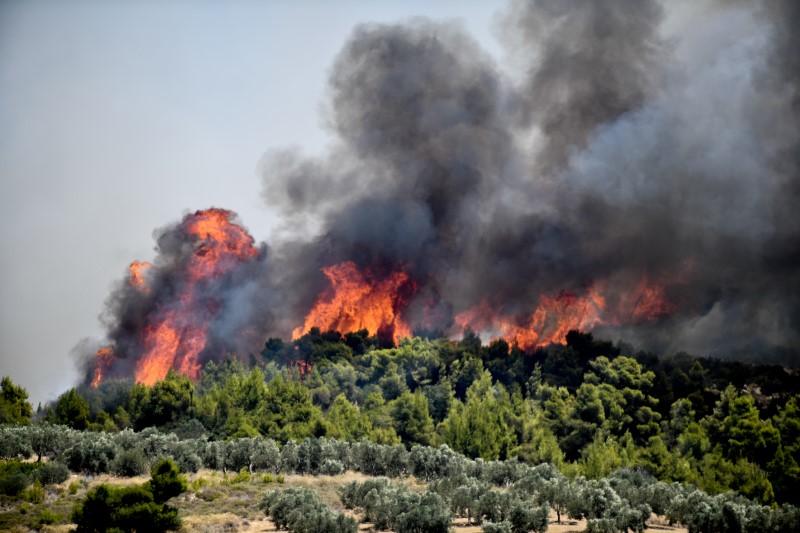 Εξήντα τρεις πυρκαγιές εκδηλώθηκαν το τελευταίο 24ωρο - Παραμένουν δυνάμεις στις Κεχριές - Media