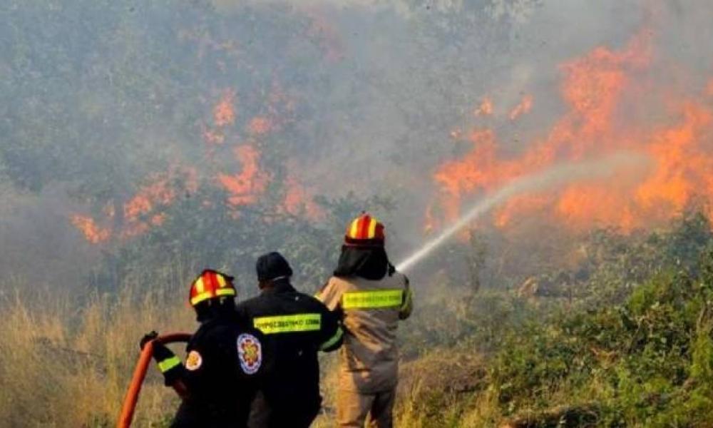 Σε εξέλιξη δασική πυρκαγιά στην Αργολίδα - Media