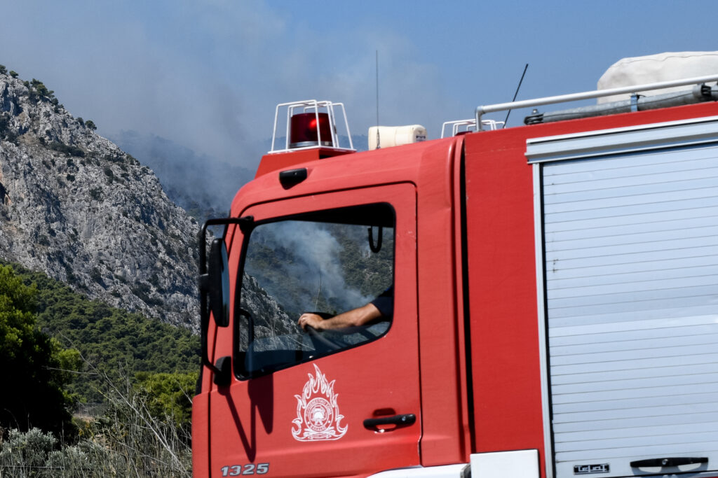 Πυρκαγιά στη Θίσβη Βοιωτίας - Media