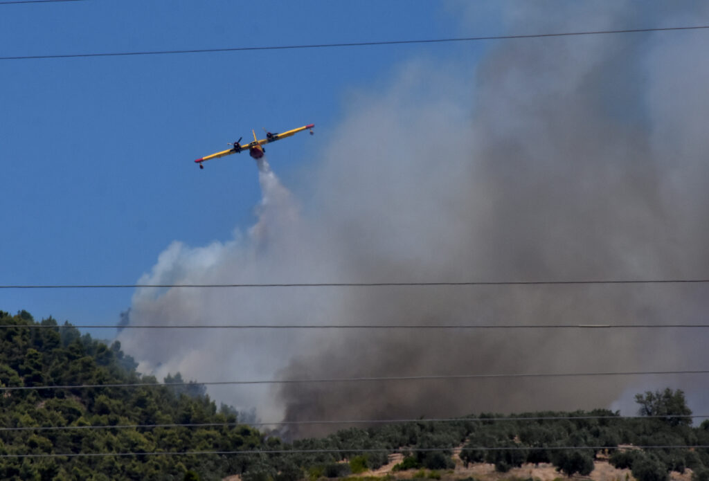 Κορινθία: Μεγάλη φωτιά σε εξέλιξη στο Σοφικό, εκκενώθηκαν οικισμοί (Video) - Media