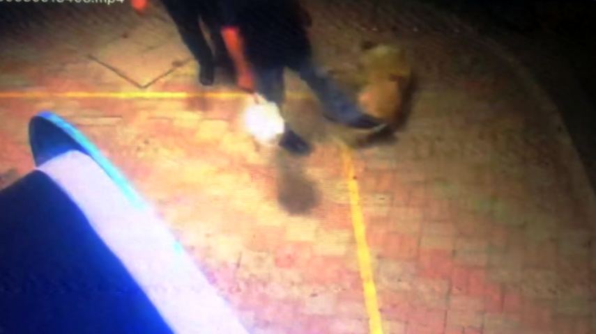 Κομοτηνή: Νέο περιστατικό κακοποίησης ζώου - Ασυνείδητος κλωτσάει αμέριμνο αδέσποτο σκυλάκι (Video) - Media