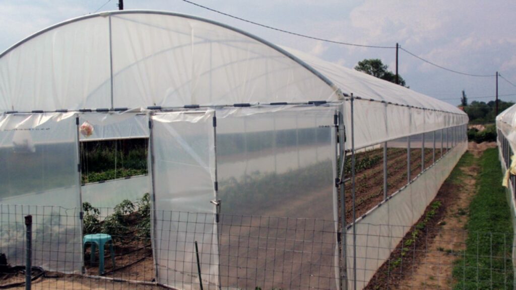 Σύρος: Κρούσμα κορωνοϊού σε Ινδό εργάτη θερμοκηπίων - Media