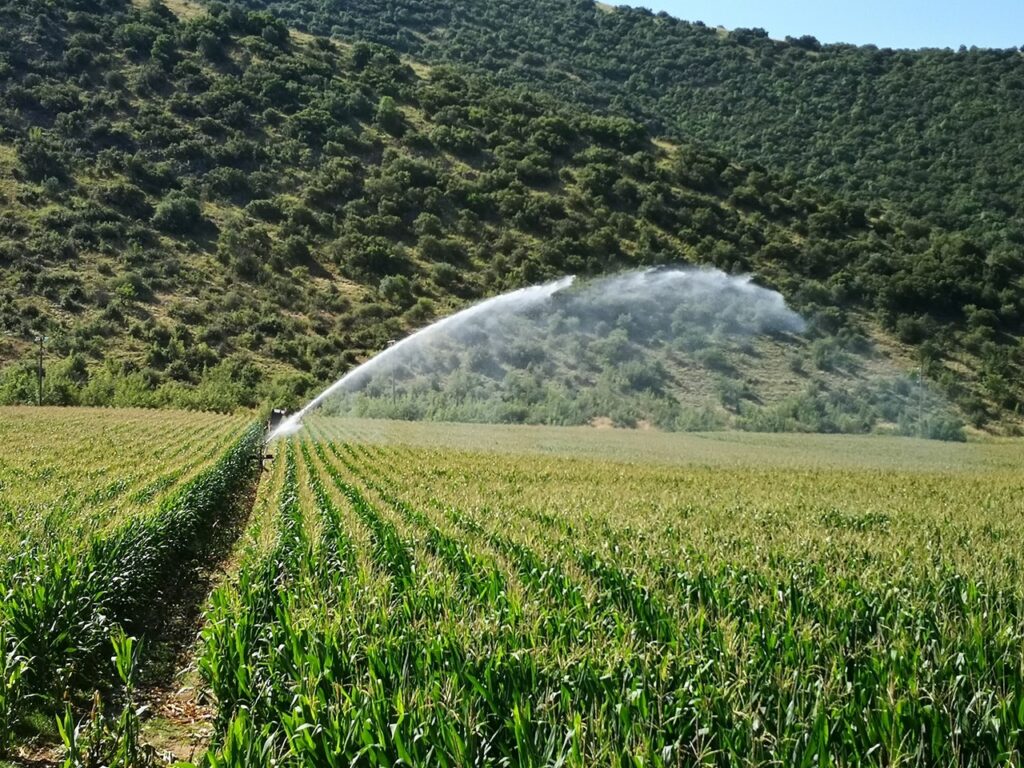 Πρόβλημα διάβρωσης αντιμετωπίζουν εδάφη στη Θεσσαλία - Media