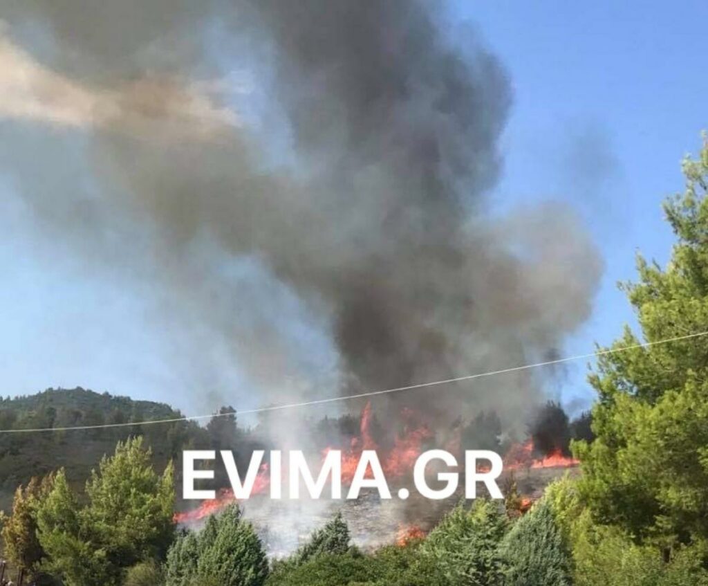 Πυρκαγιά-Ροβιές: Η άμεση κινητοποίηση της Πυροσβεστική πρόλαβε τα χειρότερα - Media