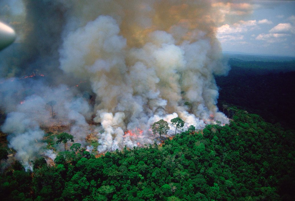 Βραζιλία: Αυξήθηκαν τον Ιούλιο κατά 28% οι πυρκαγιές στην Αμαζονία - Media