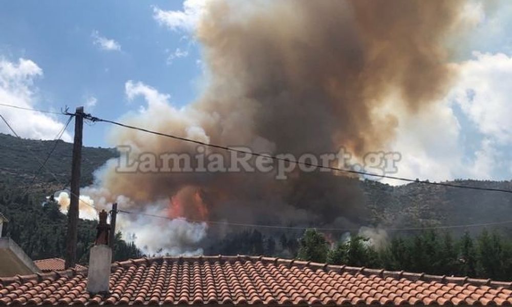 Φωτιά στην Αταλάντη – Κοντά σε σπίτια οι φλόγες (Videos) - Media