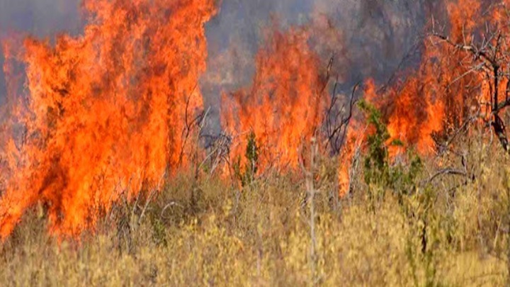 ΓΓΠΠ: Έστειλε μήνυμα μέσω 112 για αυξημένο κίνδυνο πυρκαγιάς (Photo) - Media
