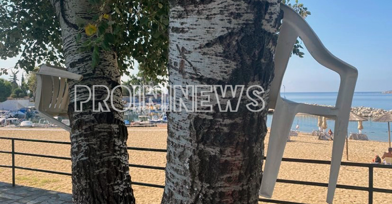 Λουόμενοι στην Καβάλα - Κρέμασαν τις καρέκλες τους στα… δέντρα - Media