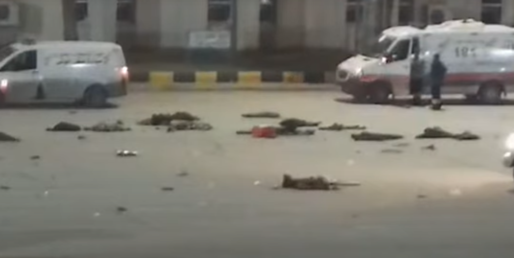 «Game of drones» στη Λιβύη: Τα  ΗΑΕ πίσω από την επίθεση σε στρατιωτική ακαδημία που αποδεκάτισε σπουδαστές (σκληρό Video) - Media