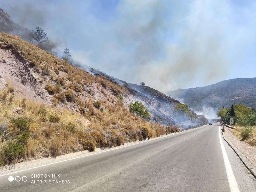 Λέσβος: Μεγάλη φωτιά απείλησε ξενοδοχεία και κατοικίες (Photos) - Media