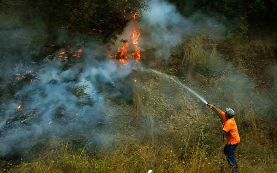 Πυρκαγιά σε δασική έκταση στη Μεσσηνία - Media