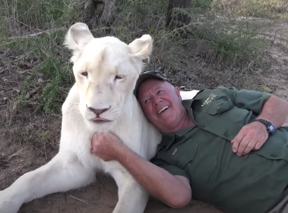 «Τα άγρια ζώα δεν εξημερώνονται»: Τον σκότωσαν τα λιοντάρια που μεγάλωσε - Media