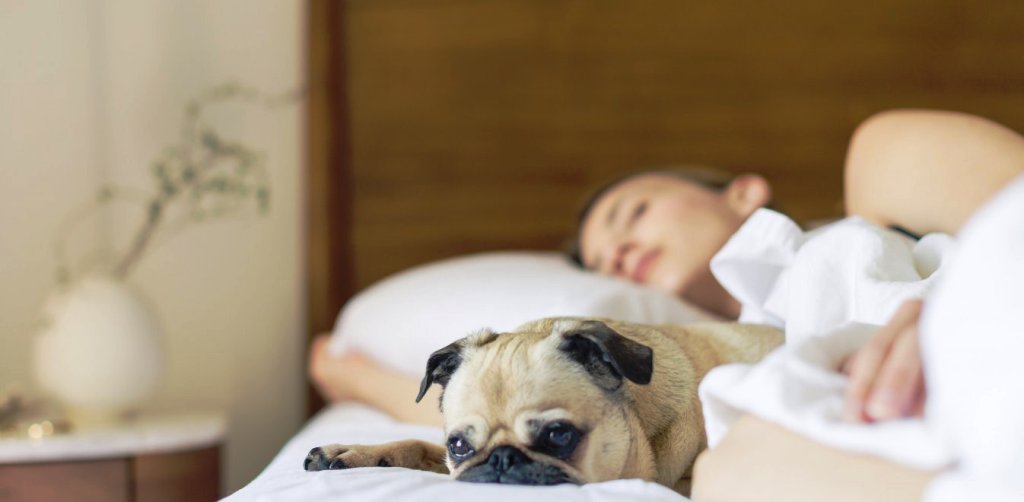 Καρδιά: Η συνήθεια που σας κάνει κακό - Πώς θα την «κόψετε» - Media