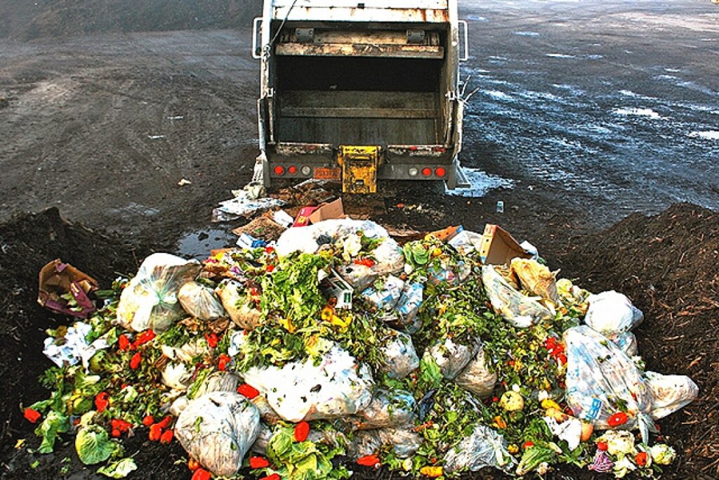 WWF: Κάθε χρόνο στην Ευρώπη 88 εκατ. τόνοι τροφής καταλήγουν στα σκουπίδια (Πίνακας) - Media