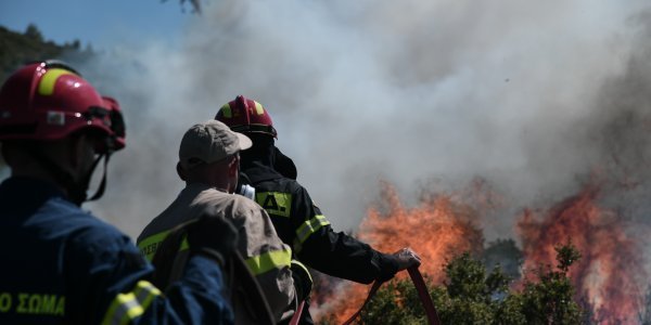 Φωτιά σε χαράδρα στα Φάρσαλα - Εκκενώνονται κτηνοτροφικές μονάδες - Media