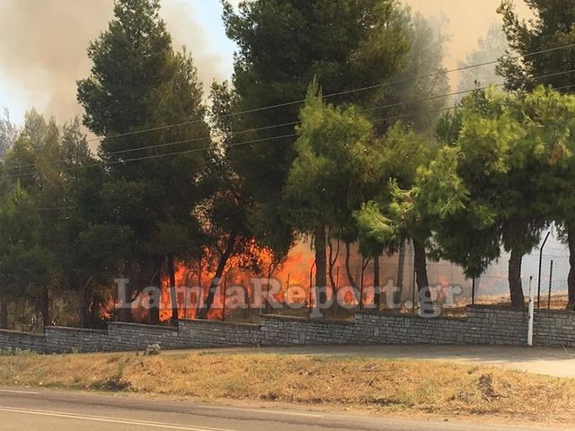 Λαμία: Συναγερμός για μεγάλη πυρκαγιά στα Σφαγεία (Photos | Video) - Media