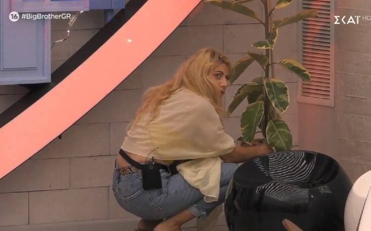 Big Brother: «Έκλαψε» το twitter – Παίκτρια πότισε τα ψεύτικα φυτά! (Video) - Media