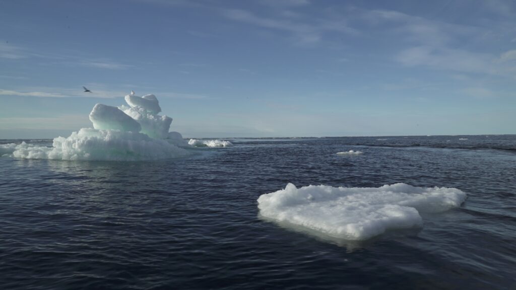 Χάνουμε τον πάγο κάτω από τα πόδια μας: H δεύτερη μεγαλύτερη μείωση στην Αρκτική από το 1979 - Media