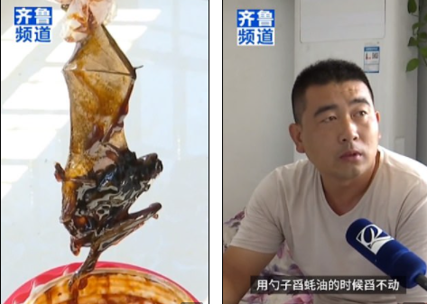 Κίνα: Η αηδιαστική στιγμή που οικογένεια βρίσκει νεκρή νυχτερίδα σε βάζο σάλτσας μετά από 3 μήνες χρήσης (Video/Photos) - Media