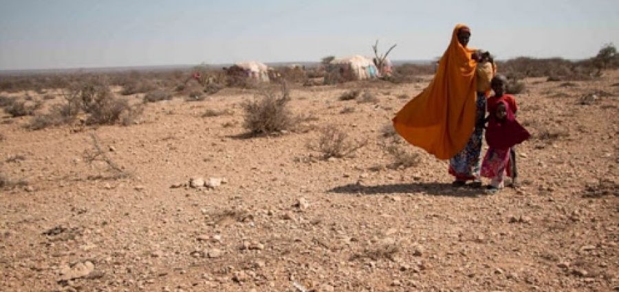 Ο ΟΗΕ προειδοποιεί ότι η διατροφική ανασφάλεια επιδεινώνεται σε 4 χώρες - Media